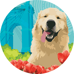 Cartoon of a dog