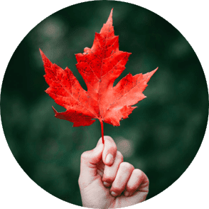fall-releaf