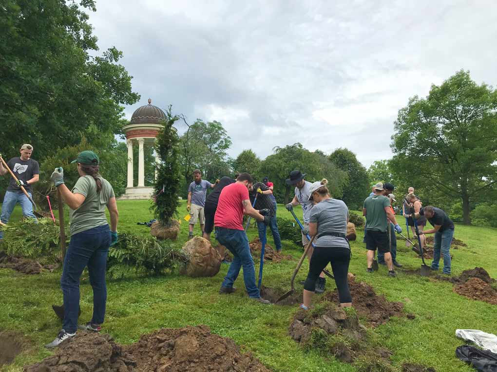 MadTree employees planting trees in Mt. Storm Park