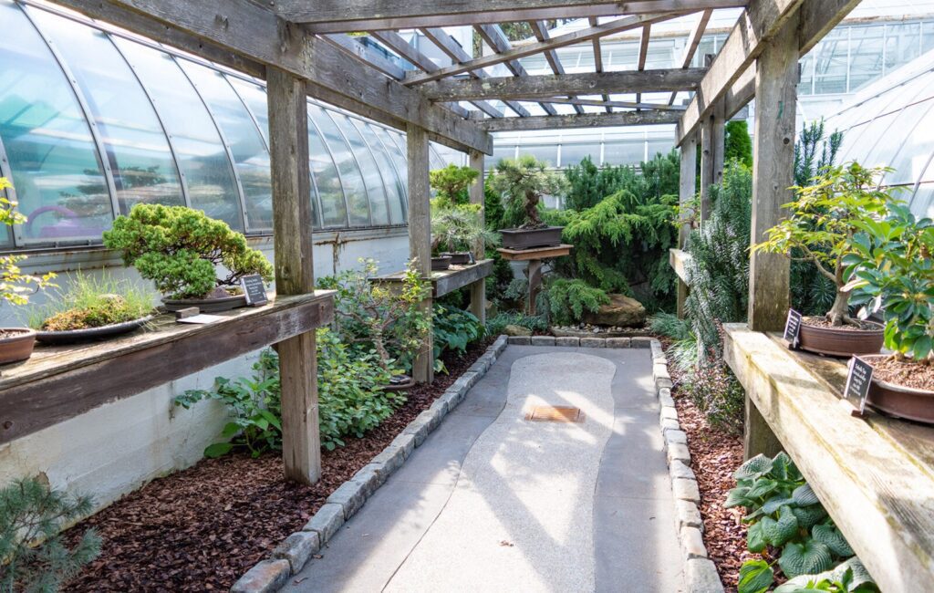 The inside of a greenhouse