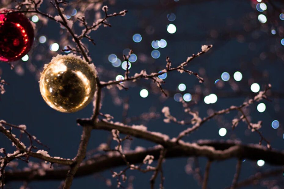 Christmas lights in a tree outdoors