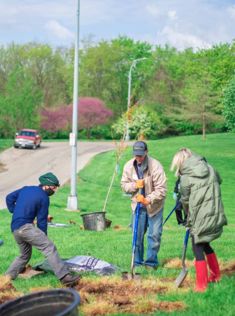 A group planting a tree in Mt. Echo Park with LifeCenter