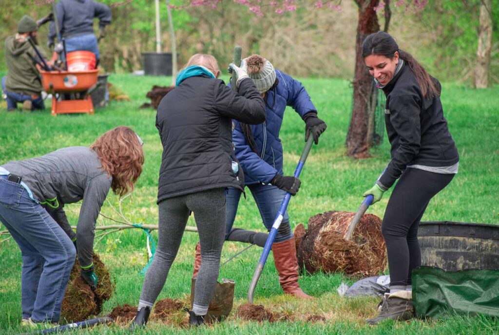 A smiling group planting a tree in Mt. Echo Park with LifeCenter