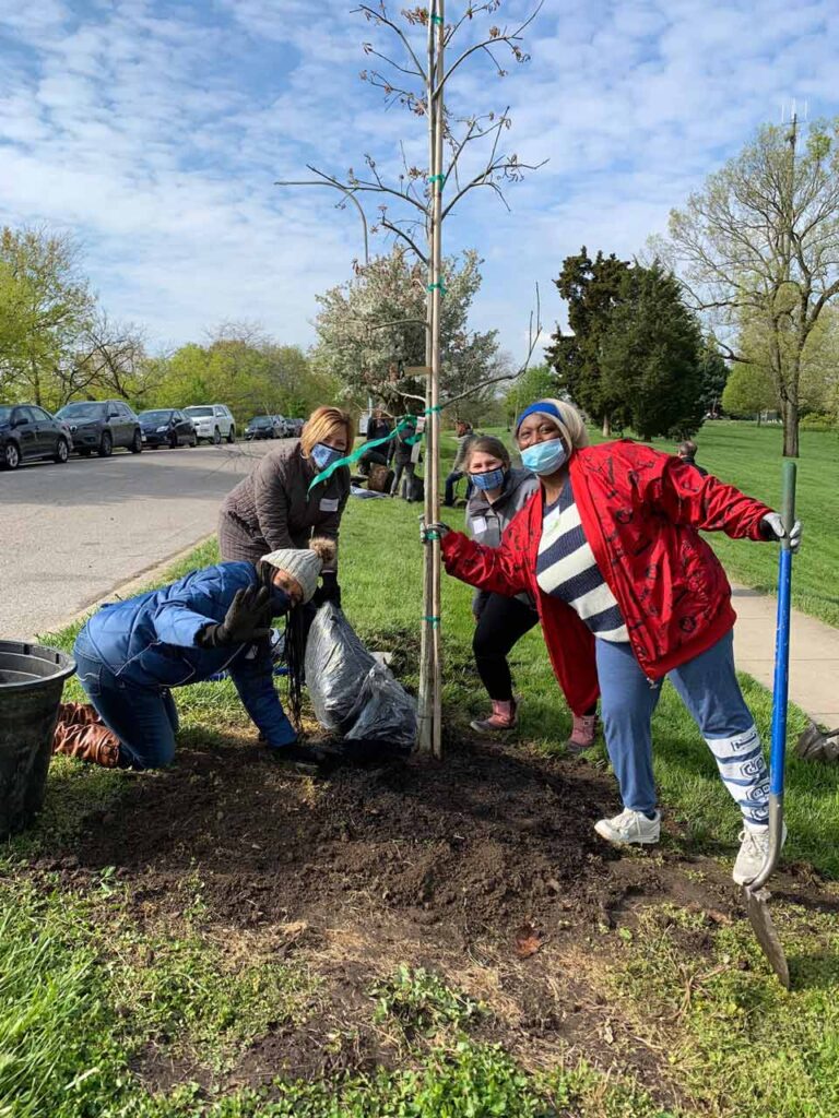 A group planting a tree in Mt. Echo Park with LifeCenter