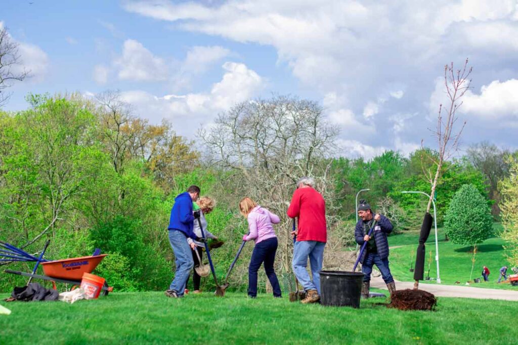 A group planting a tree in Mt. Echo Park with LifeCenter
