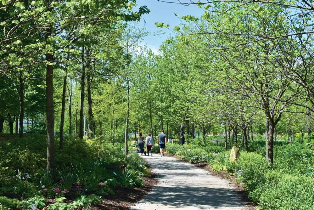 Lush trees in Smale Riverfront Park