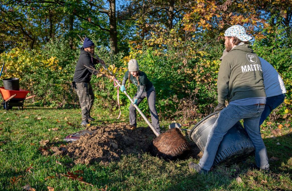 MadTree Brewing volunteers planting trees in Inwood Park near the PNC Grow Up Great Playground