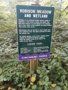 Sign in Kennedy heights park about the Robinson Wetland and Meadow