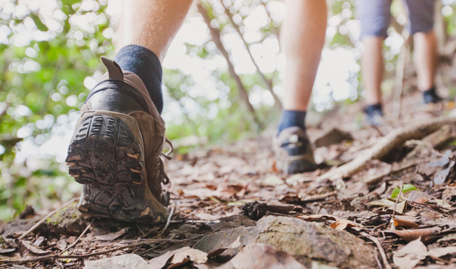 Person hiking for Cincinnati Trail Fest