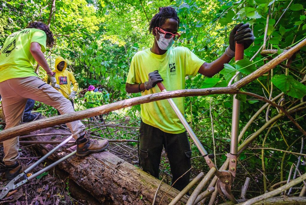 Green Team for Groundwork ORV in Mt. Airy Forest