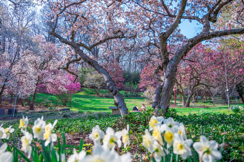 Spring in Eden Park Cincinnati